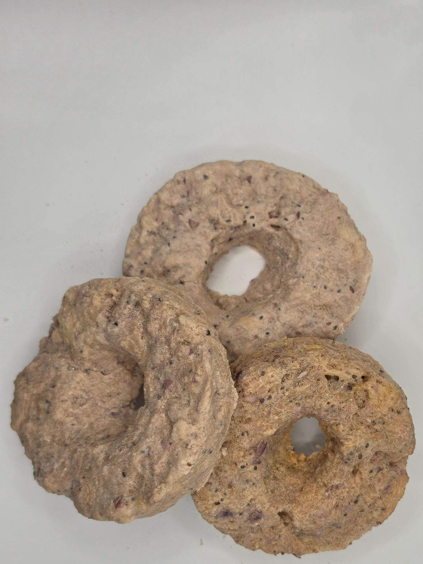 Chicken Cranberry Chia Seed Freeze Dried Donut