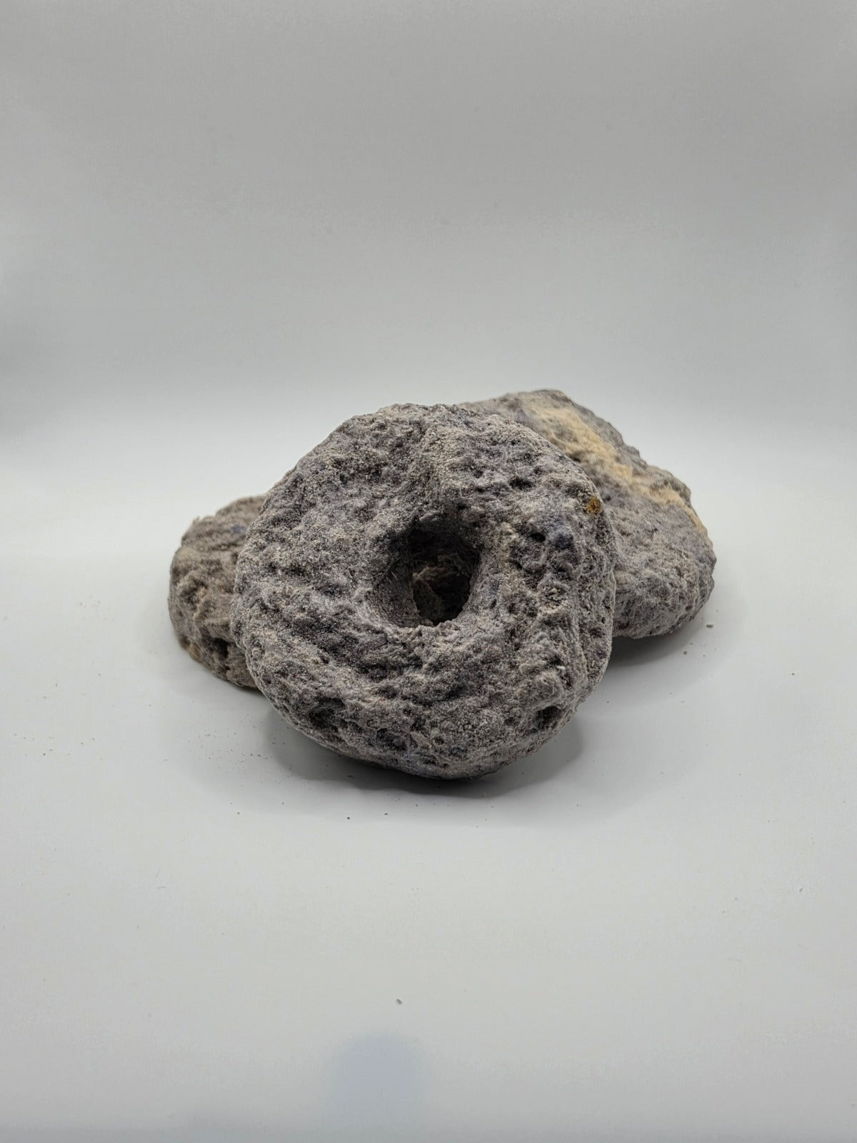 Chicken Blueberry Chia Seed Donut