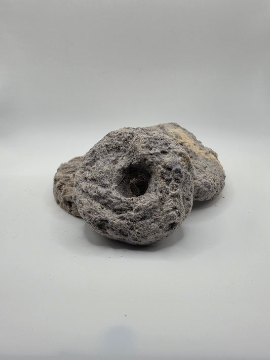 Chicken Blueberry Chia Seed Freeze Dried Donut