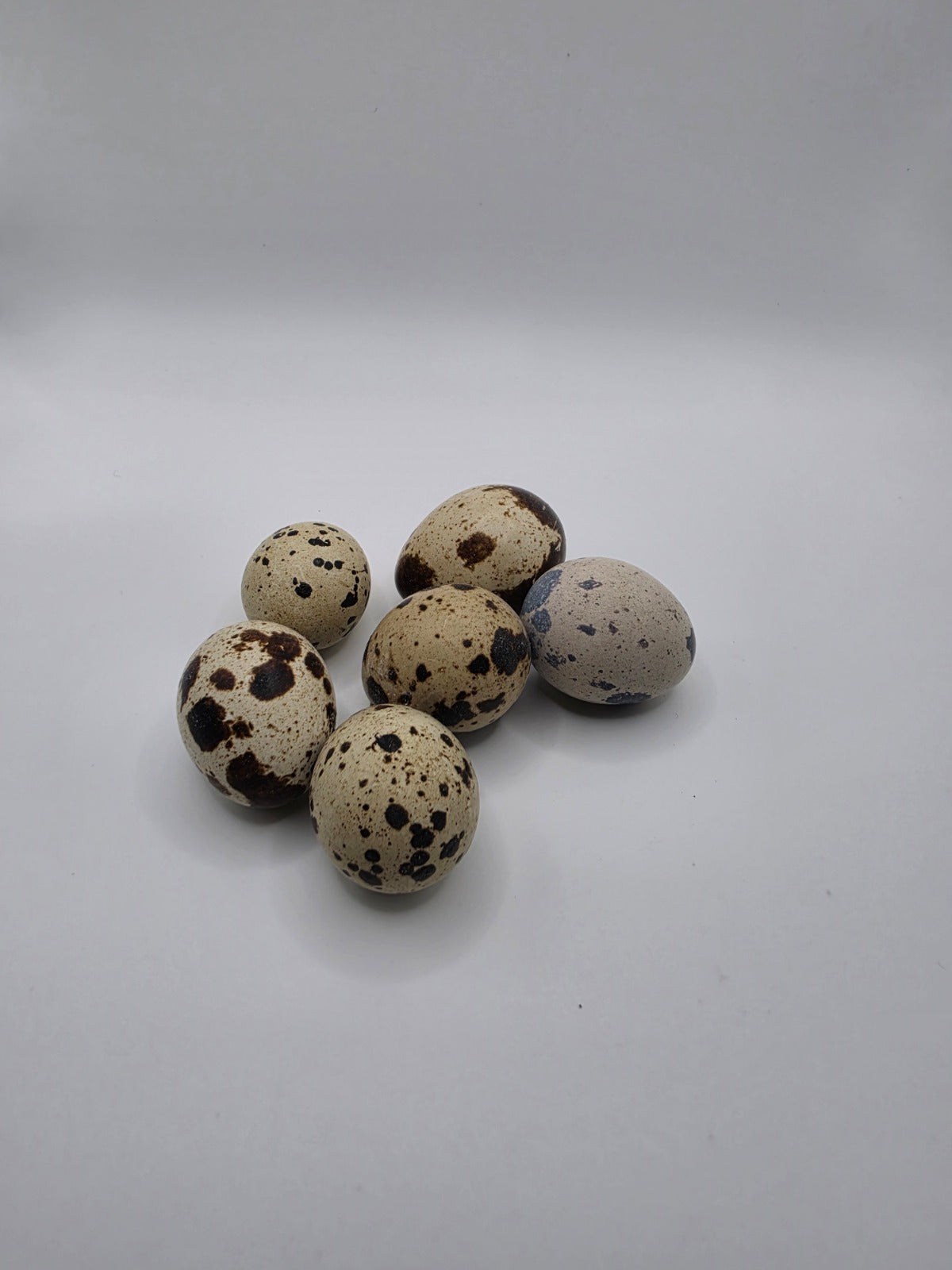 Fresh Quails Eggs